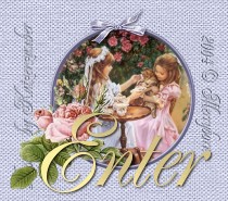 Merryborns Maine Coon Katzen-Zucht